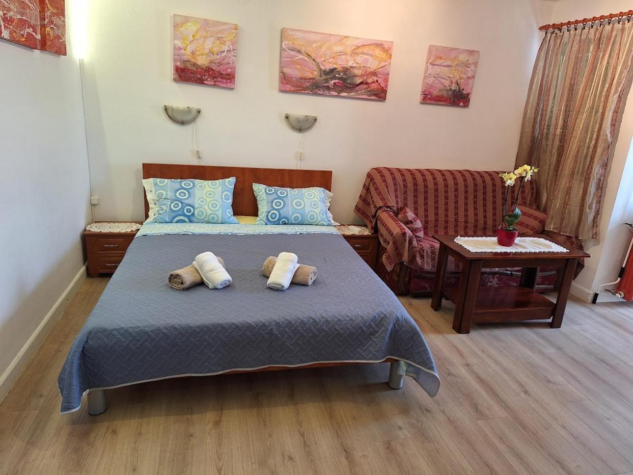 Apartments Alex Rovinj Chambre photo
